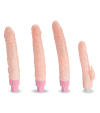 Set of 4 dildos for the sex machine